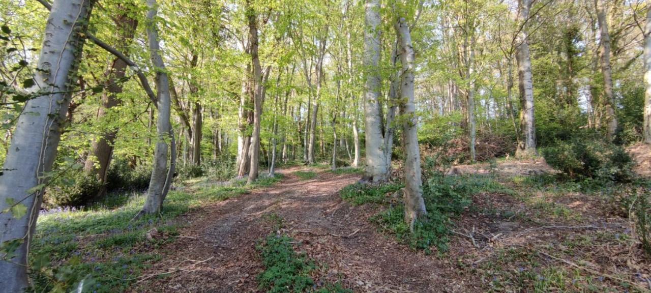Gites 4,6 Personnes Fecamp Etretat Colleville Екстер'єр фото